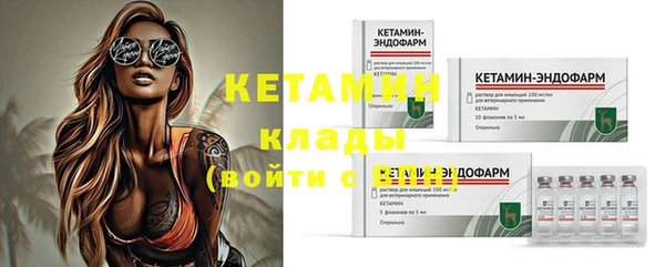 стаф Аркадак