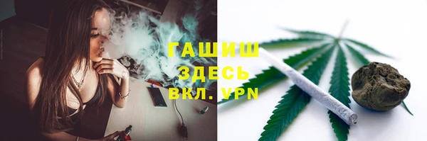 стаф Аркадак