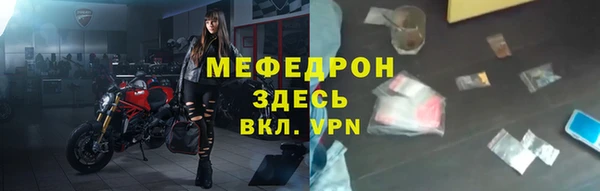 стаф Аркадак