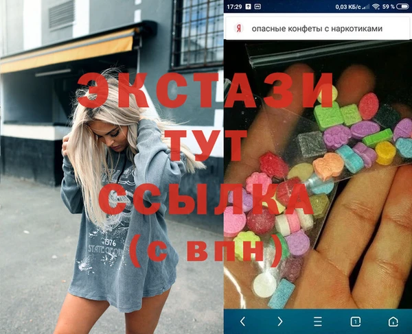 стаф Аркадак