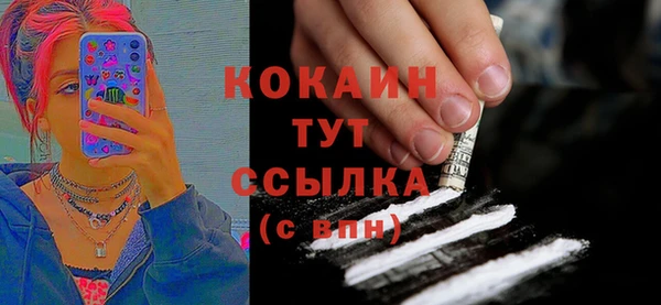 стаф Аркадак