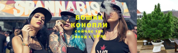 стаф Аркадак
